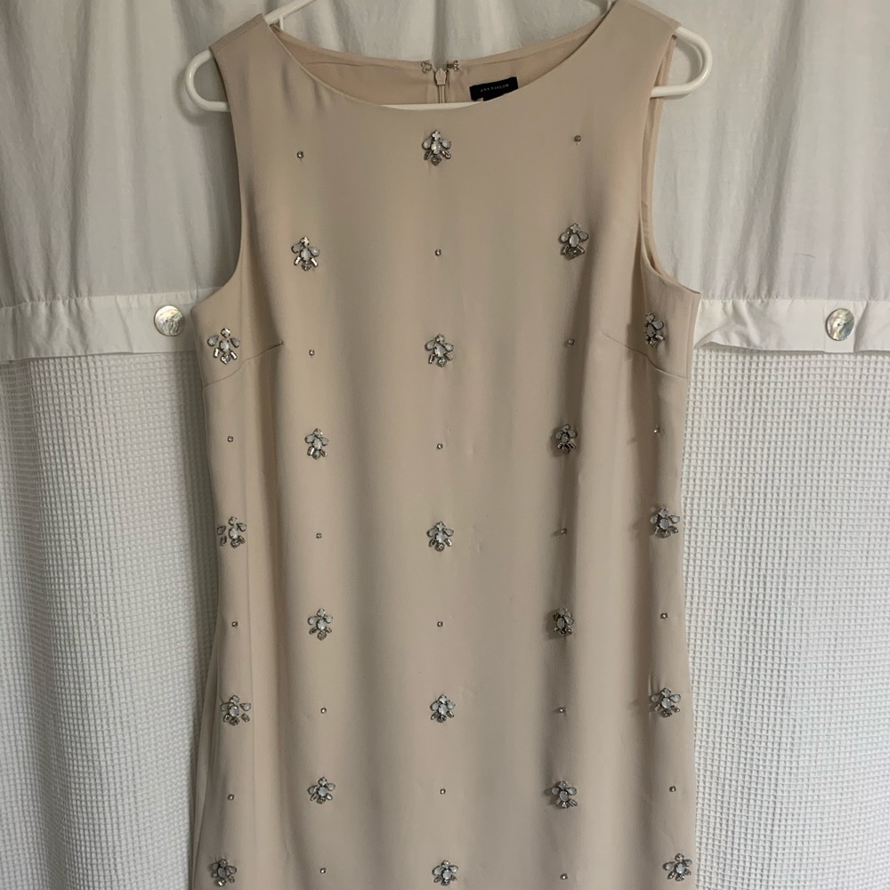Ann Taylor dress